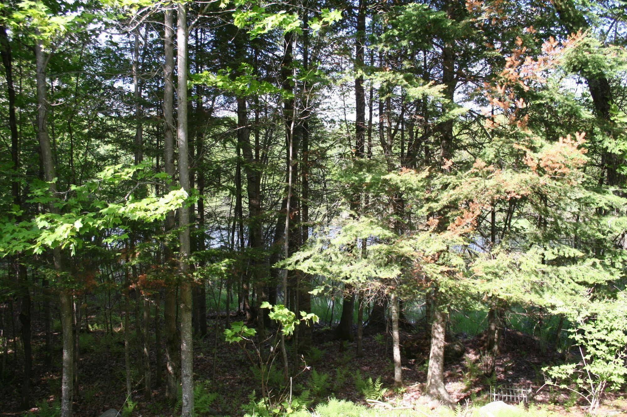 La Chaumiere De L'Anse Bed & Breakfast Mont-Tremblant Bagian luar foto